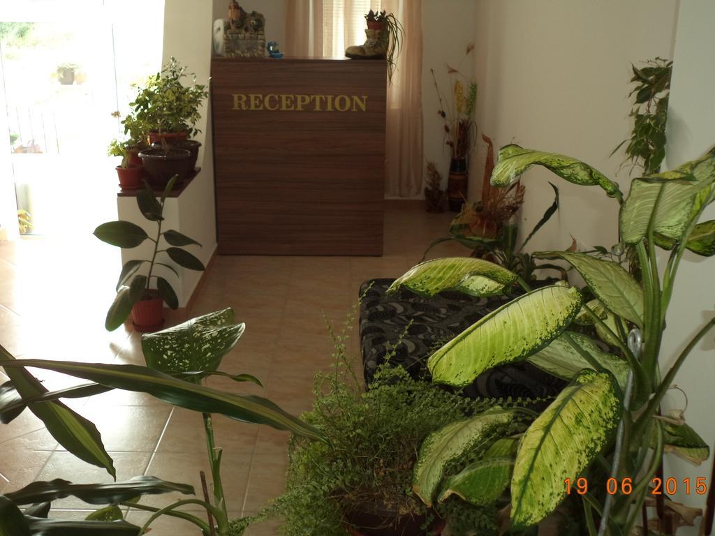 Sveti Georgi Guest House Созополь Экстерьер фото